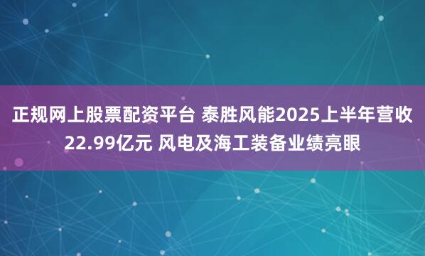 正规网上股票配资平台 泰胜风能2025上半年营收22.99亿元 风电及海工装备业绩亮眼
